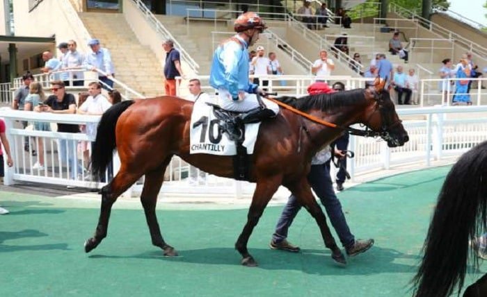 canalturf demain