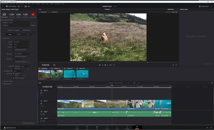 Video Editor