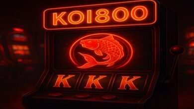 Why koi800 Is the Go-To Site for High-RTP Slots